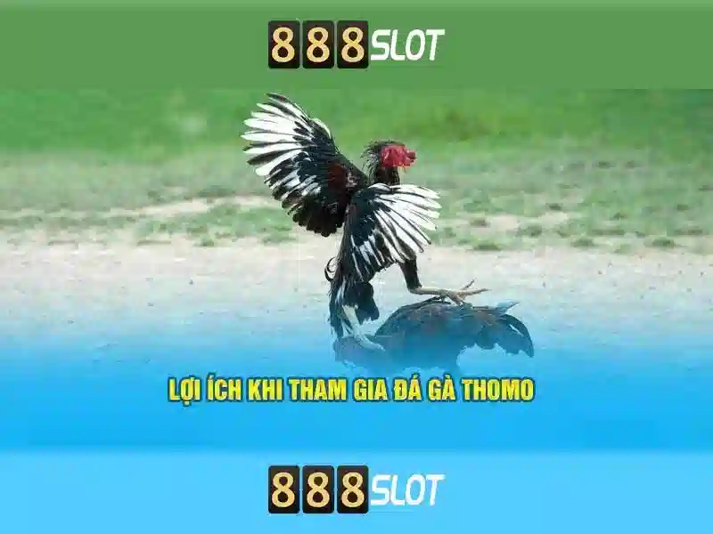 888slot - Nền tảng casino trực tuyến uy tín