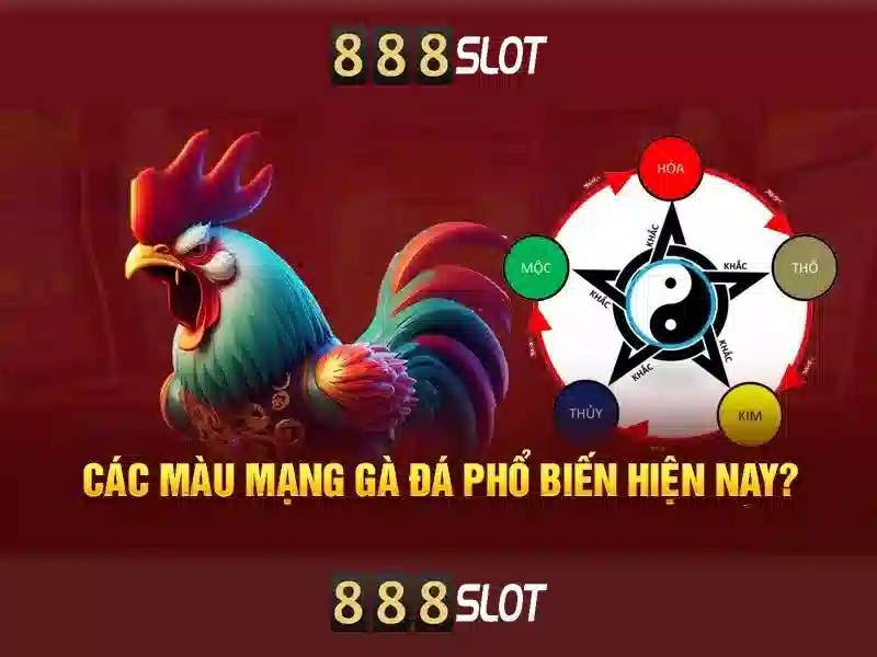 888slot - Đánh giá nền tảng cá cược trực tuyến nổi bật
