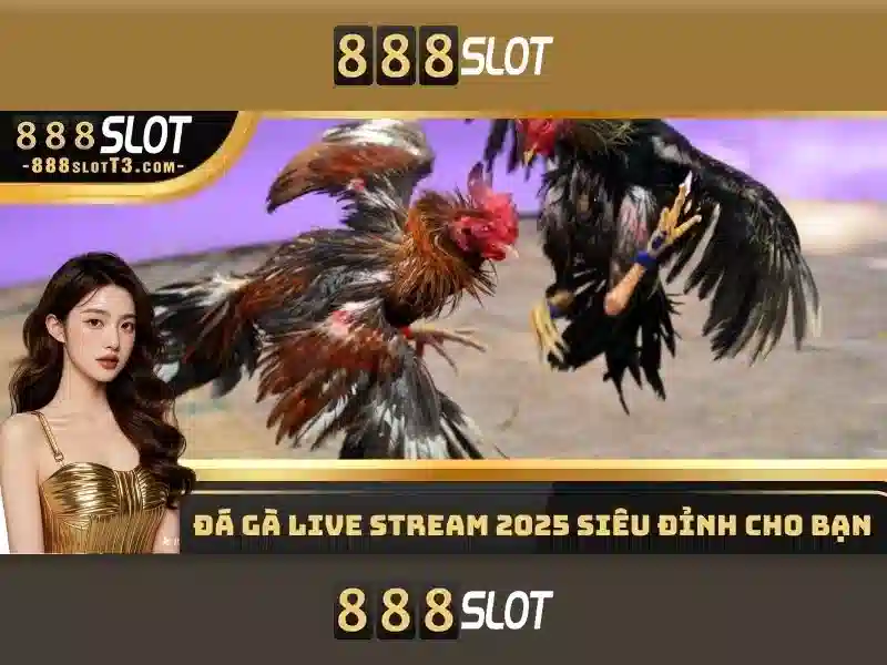 888slot: Đánh giá và trải nghiệm