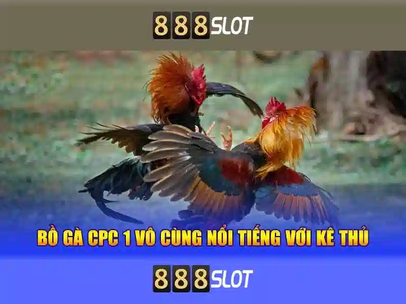 boneka 888 slot – Tổng quan, trải nghiệm và giá trị thương hiệu