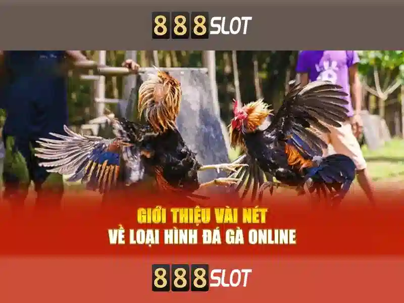 888 slot 5 - Trải nghiệm và tiềm năng cùng alibaba 888 slot