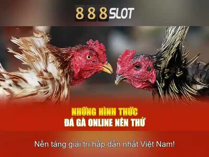 888slot - Đánh giá nền tảng cá cược trực tuyến nổi bật