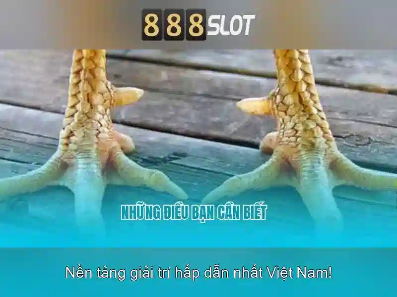 888slot - Nền tảng máy đánh bạc trực tuyến tại Việt Nam